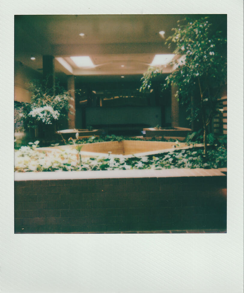 Untitled Untitled